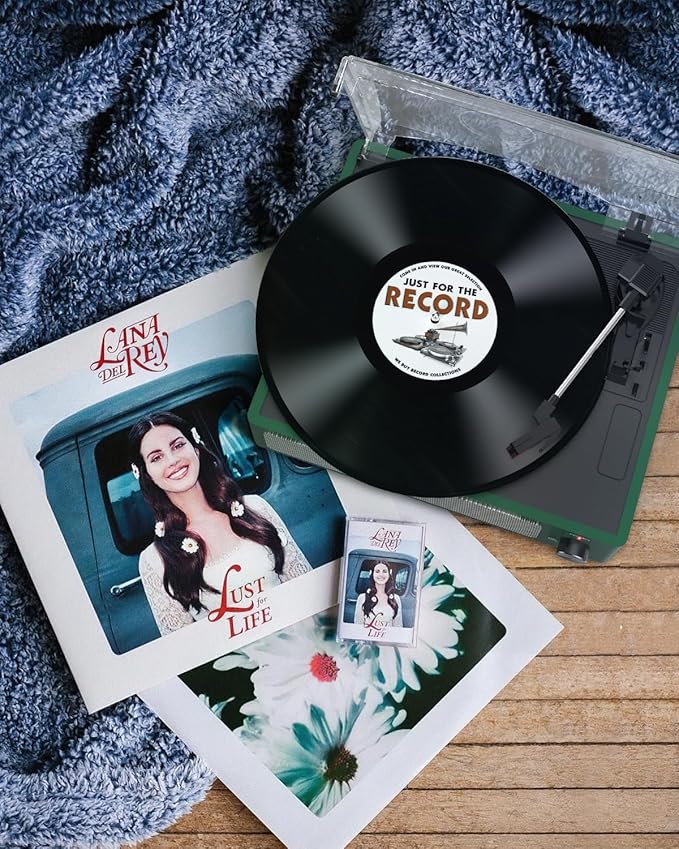 Vinyl Record Player with Speakers & Wireless Receiver Turntable - Image 9