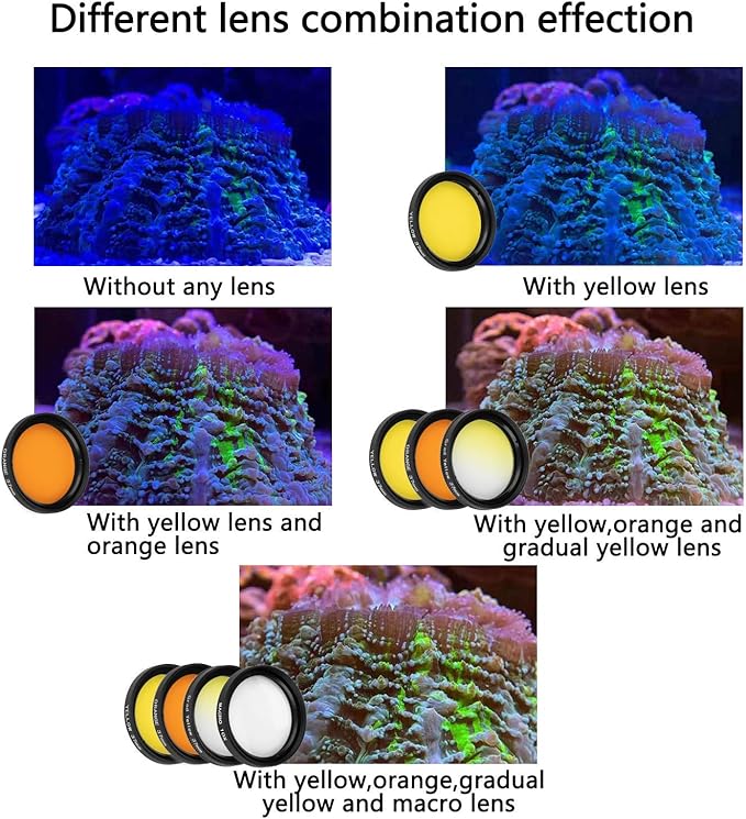 Reef Coral Lens Phone Kits for Phone 7 Lenses Kit 1 Dust Shield Case 2 Lens - Image 5