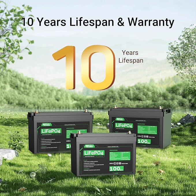 HQST LiFePO4 Battery 100ah Lithium Battery, 12V Lithium Iron Phosphate Battery - Image 2