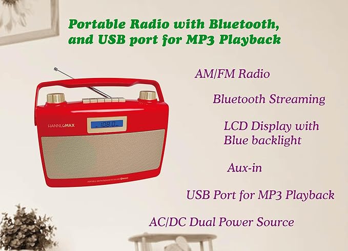 HANNLOMAX HX-500R Portable AM/FM Radio, USB Port - Image 2
