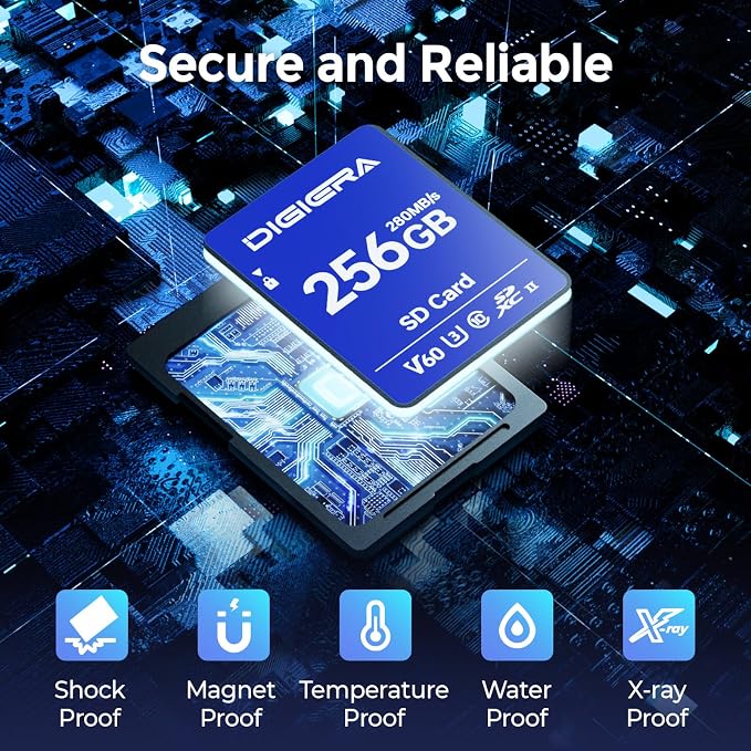 256GB LSU100 SDXC UHS-II Memory Card - Image 6