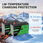 12V 100Ah LiFePO4 Lithium Battery, Built-in Smart BMS, Low Temperature - Image 3