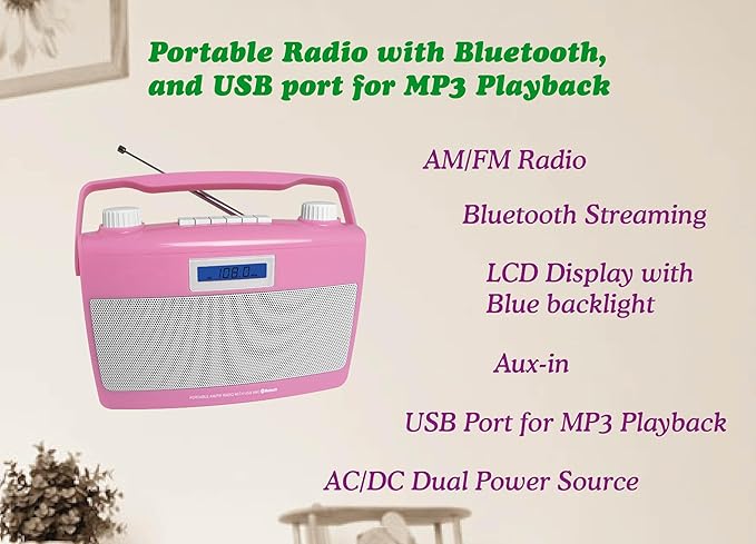 HANNLOMAX HX-500R Portable AM/FM Radio, USB Port - Image 2