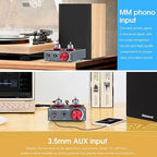 Douk Audio T4 PRO Vacuum Tube Phono Preamp, MM Turntable Preamplifier, GE5654 - Image 5
