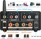 Douk Audio 2 Channel TPA3255 Bluetooth Amplifier 300W x2, Turntable Phono Amp - Image 8