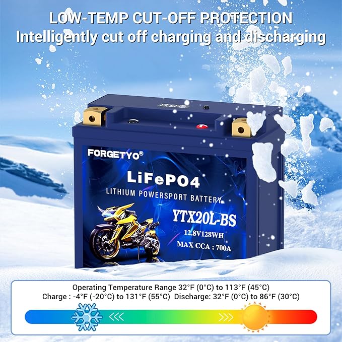 Lithium YTX20L-BS, 700A LiFePO4 Motorcycle Battery, 12V 10AH ATV, Jet Ski - Image 7