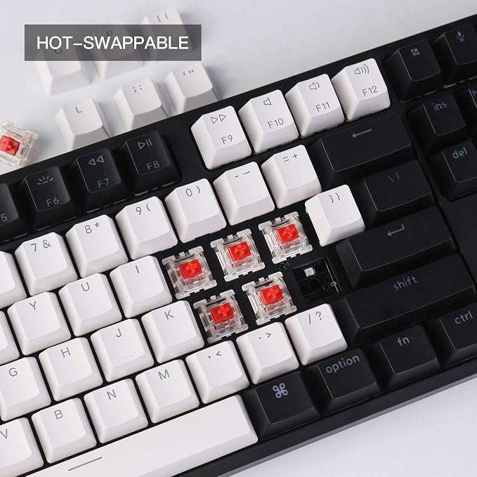 Keychron C1 Wired Mechanical Keyboard TKL, RGB Backlit - Image 3