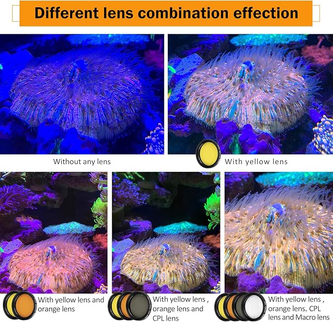 Reef Coral Lens Phone Kits 5 Lenses Kit 1 Dust Shield Case 2 Lens Clips - Image 3