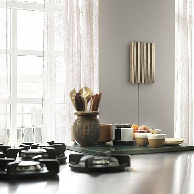 Bang & Olufsen Beosound Level Portable Wi-Fi Multiroom Speaker - Image 6