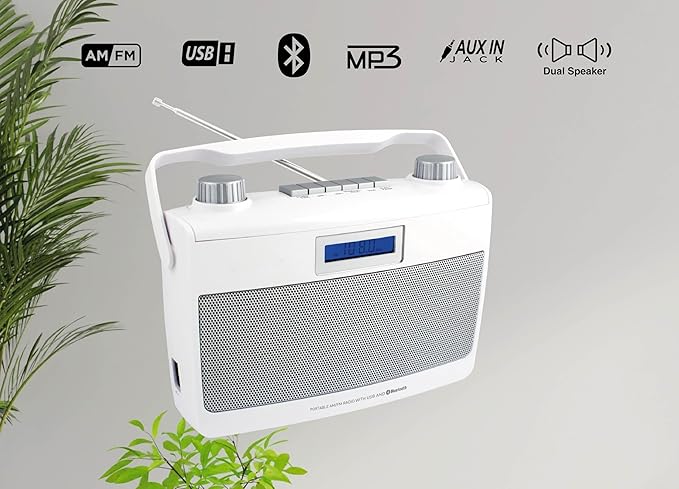 HANNLOMAX HX-500R Portable AM/FM Radio, USB Port - Image 3