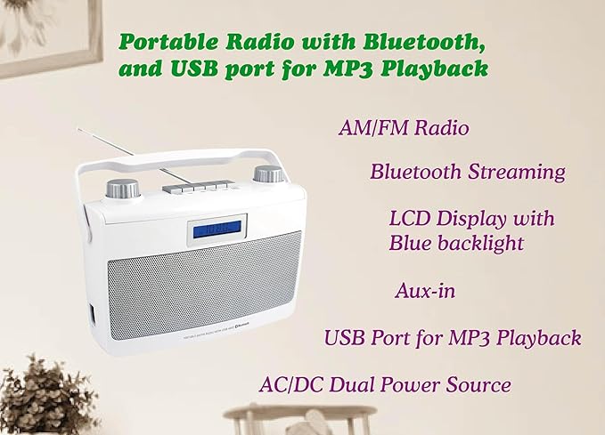 HANNLOMAX HX-500R Portable AM/FM Radio, USB Port - Image 2