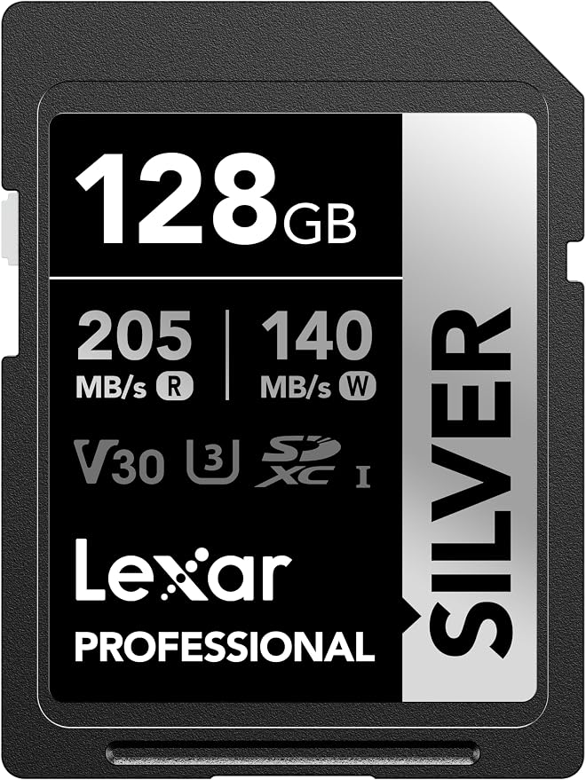 Lexar 128GB Professional Silver SD Card, by Lexar