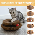 Magic Organ Cat Scratcher Board, Cat Ball Adventure The Ultimate Interactive - Image 2