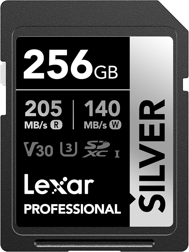Lexar 256GB Professional Silver SD Card, by Lexar