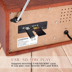 LoopTone USB SD Multifunction AM FM Vintage Radio - Image 6