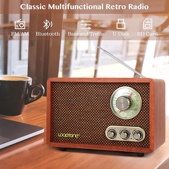 LoopTone USB SD Multifunction AM FM Vintage Radio - Image 3