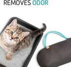Car Air Freshener - Image 7