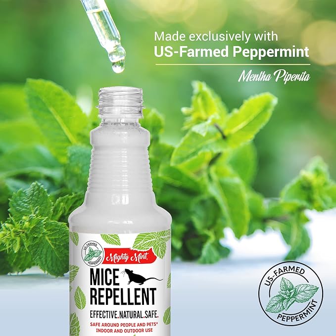 Mighty Mint Peppermint Oil Mouse Repellent Spray – Natural Indoor & Outdoor - Image 4