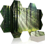 Mollywell Art Acoustic Panels, Soundproofing, Wall Decoration, Suitable by Mollywell