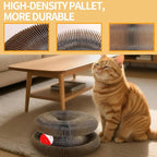 Magic Organ Cat Scratcher Board, Cat Ball Adventure The Ultimate Interactive - Image 4