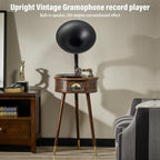 Gramophone Record Player，Italian Style Gramophone Vinyl Record Player - Image 9