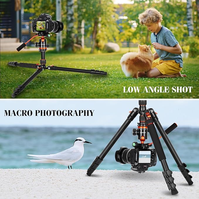 Camera Tripods & Projector Stand, 2 in1 Tripod - Image 8