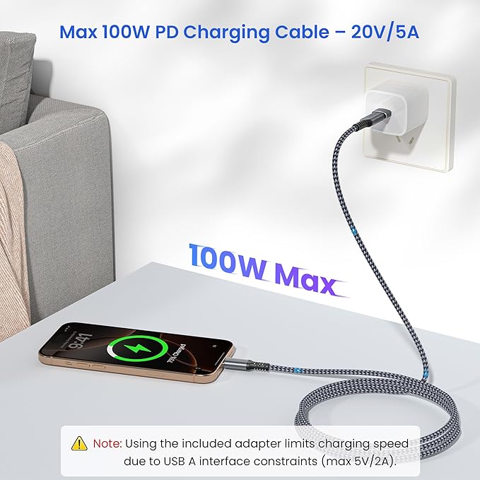 Elebase USB Type C to C 100W Cable 10FT - Image 4