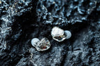 Linsoul Kiwi Ears Orchestra Lite Performance Custom 8BA in-Ear Monitor IEM - Image 8