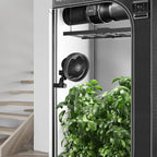 AC Infinity CLOUDRAY S6, Grow Tent Clip Fan 6” - Image 8