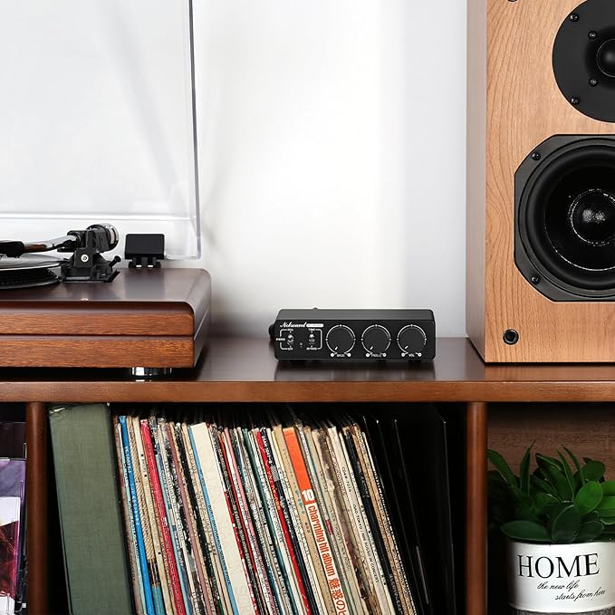 Douk Audio NS-13G MAX 300Wx2 Stereo Amplifier - Image 9