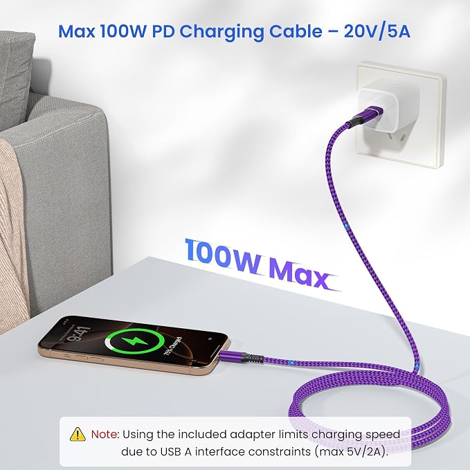 Elebase USB Type C to C 100W Cable 10FT - Image 4