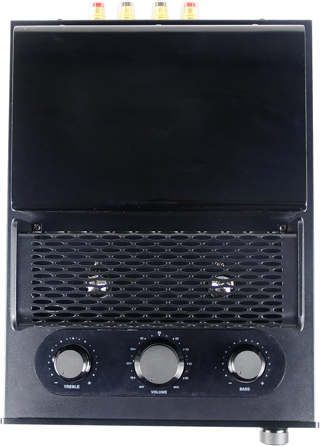 INFI Audio Hybrid Class AB Tube Amplifier 6N3 Power Amp - Image 6