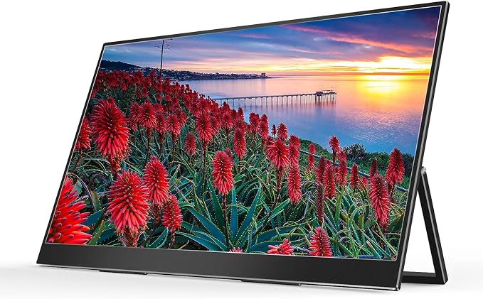 27 inch Dual Mode Larger Portable Monitor 288Hz FHD by InnoView