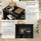 Farmhouse Record Player Stand, 3 Tier Turntable Stand - Image 3