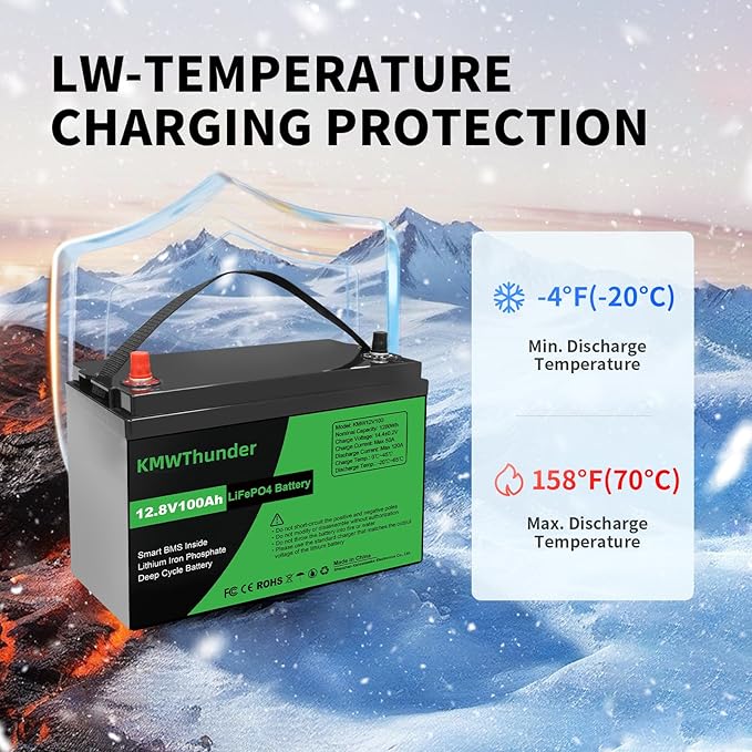 12V 100Ah LiFePO4 Lithium Battery, Built-in Smart BMS, Low Temperature - Image 3