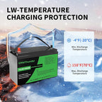 12V 100Ah LiFePO4 Lithium Battery, Built-in Smart BMS, Low Temperature - Image 3