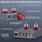 Douk Audio T4 PRO Vacuum Tube Phono Preamp, MM Turntable Preamplifier, GE5654 - Image 7
