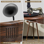 Gramophone Record Player，Italian Style Gramophone Vinyl Record Player - Image 5