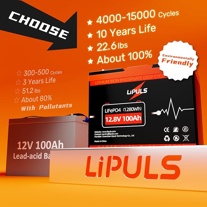 12.8V 100Ah LiFePO4 Battery, Group 24 Size • Built-in 100A BMS, Max.1280Wh - Image 3