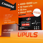 12.8V 100Ah LiFePO4 Battery, Group 24 Size • Built-in 100A BMS, Max.1280Wh - Image 3