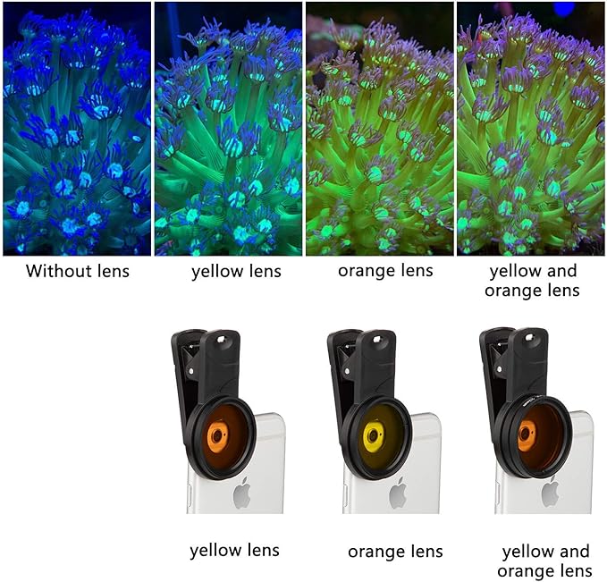 Reef Coral Lens Phone Kits for Phone 7 Lenses Kit 1 Dust Shield Case 2 Lens - Image 3