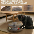Magic Organ Cat Scratcher Board - Image 7
