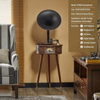 Gramophone Record Player，Italian Style Gramophone Vinyl Record Player - Image 3