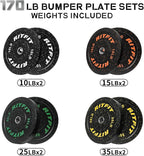 RitFit Bumper Plates, Colored Fleck-Rubber Weight Plates - Image 2
