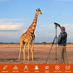 80/85 inches Heavy Duty Tripod for Camera and Phone, DSLR Binoculars Spotting - Image 4