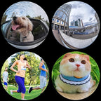 Fisheye Lens 235° Phone Camera Lens, Fish Eye Lens - Image 3