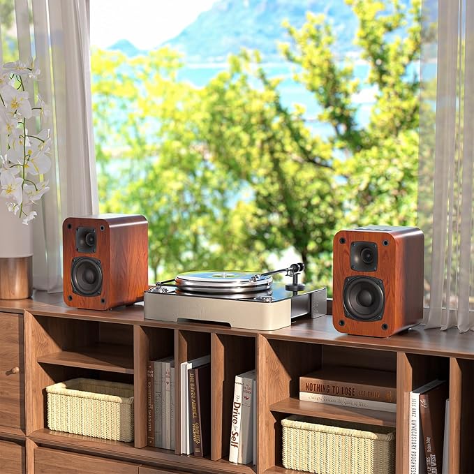 Saiyin Bluetooth Bookshelf Speakers - Image 4