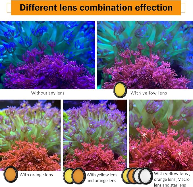 Reef Coral Lens Phone Kits 5 Lenses Kit 1 Dust Shield Case 2 Lens Clips - Image 4