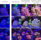 Reef Coral Lens for Phone, Smartphone Camera Reef Lens, 11 Kits in a Whole - Image 6
