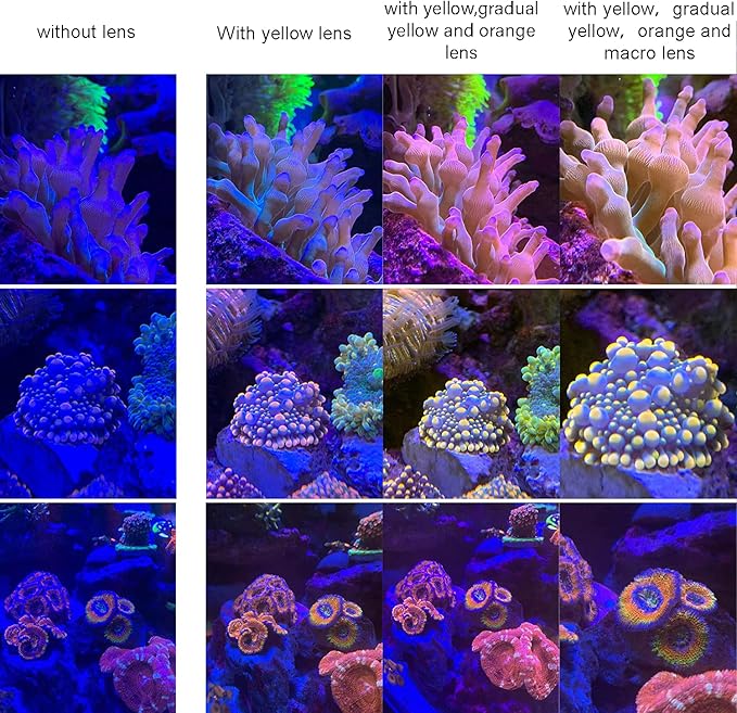 Reef Coral Lens for Phone, Smartphone Camera Reef Lens, 11 Kits in a Whole - Image 6